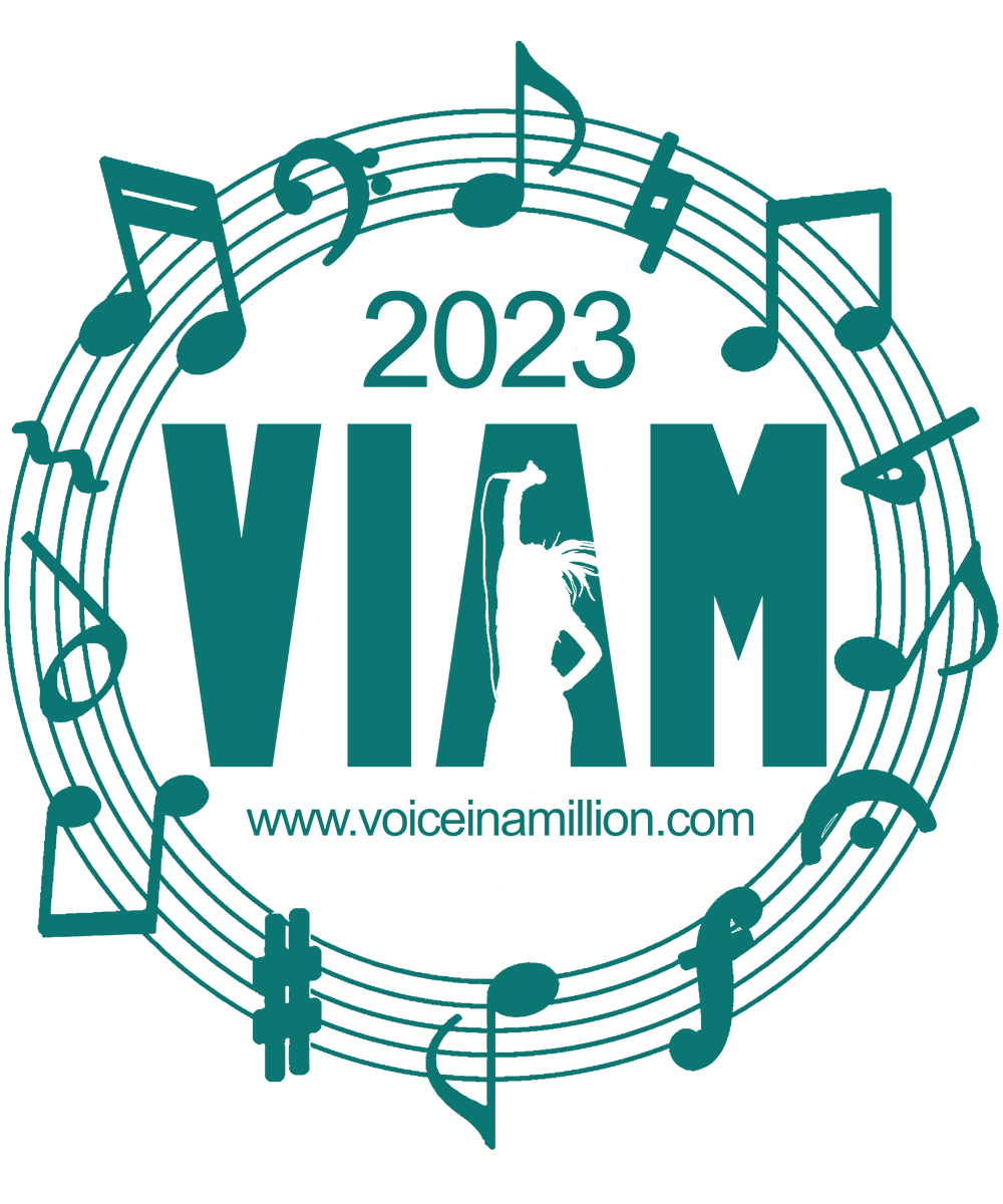 The end of the glowstick for VIAM – Voice in a Million