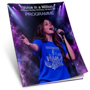VIAM2027 Programme