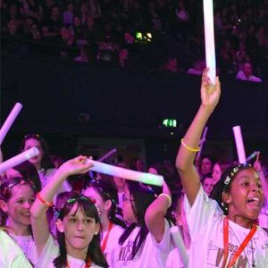 VIAM2027 LED Foam Baton